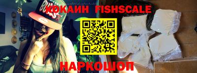 крисы Камышлов