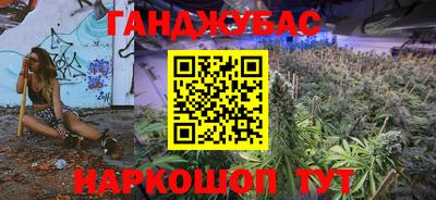 крисы Камышлов