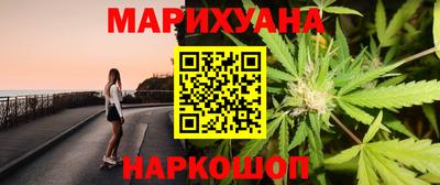 крисы Камышлов