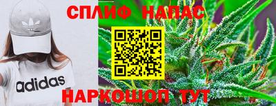 стаф Кандалакша