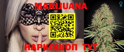 крисы Камышлов