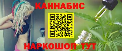 крисы Камышлов