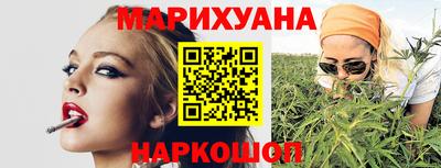 крисы Камышлов