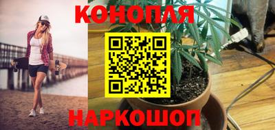 стаф Кандалакша
