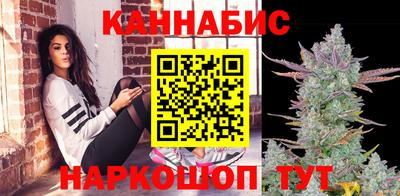 стаф Кандалакша