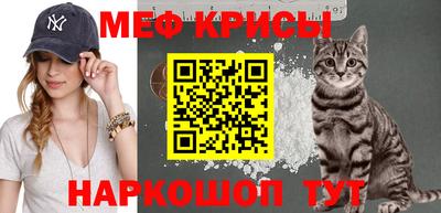 крисы Камышлов