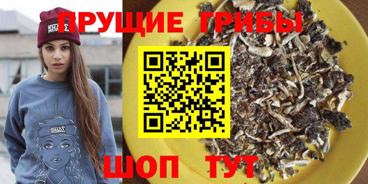 Усть-Илимск  Галлюциногенные грибы Psilocybine cubensis  Вход с VPN  Галлюциногенные грибы MAGIC MUSHROOMS 